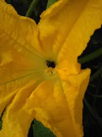 tmp-cam-1401959263.webp