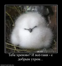2020-07-22-08-08-55.webp