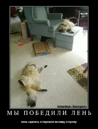 2020-07-22-08-12-53.webp