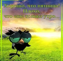 2020-07-24-08-17-04.webp
