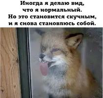846AC1AA-307A-457A-933E-4A3DC5112BD7.webp