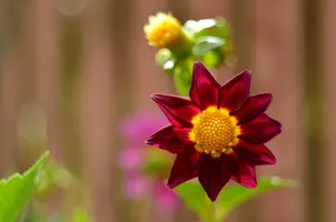 _DSC8521_1.webp