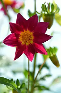 _DSC8943.webp