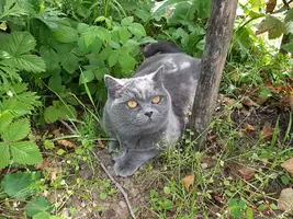 IMG-40b5d7578ef5a7e2c8f5e09c5c7ca845-V.webp
