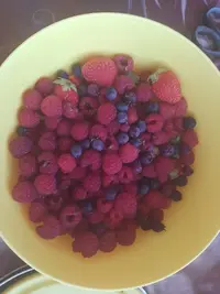 20200725_090401.webp