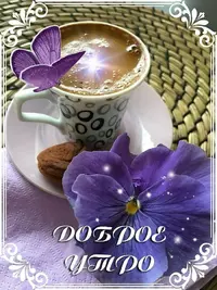 20e3c4ac6f6954db545b81087a5649d0.webp