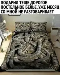 (5).webp