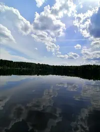 Screenshot_20200729_230909.webp