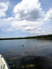 Screenshot_20200729_230934.webp