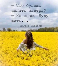 WVU1WnMPJHo.webp