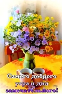 IMG-20200729-WA0002.webp