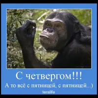 2020-07-30-10-11-12.webp