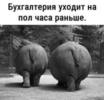 (2).webp