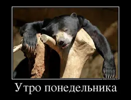 2020-08-03-10-23-21.webp