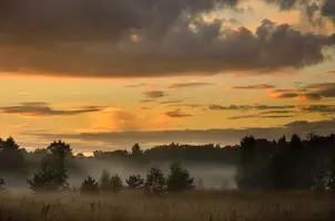 _DSC9177.webp