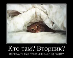 2020-08-04-08-12-50.webp