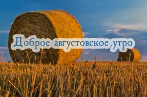 50261683.webp