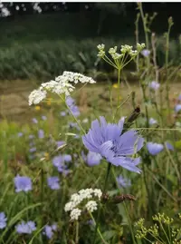 Screenshot_20200804_135240.webp