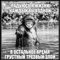 1573377833_13644088.webp