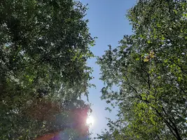 20200805_090721.webp