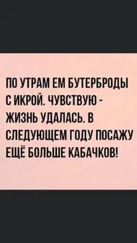 IMG-a629cae7870b8481c8d01c9edf7dedc6-V.webp