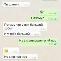 223031272_1034155.webp