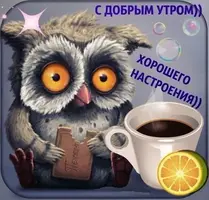 832228a3778c8991d90e6e09c2632499.webp