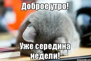WtrqFCFJRKU.webp