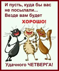i.webp