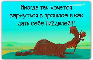 s1200.webp