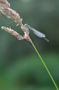 _DSC9435.webp