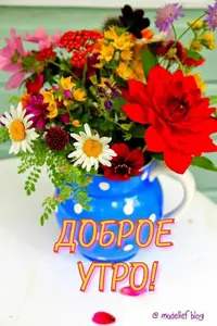 IMG-20200813-WA0000.webp