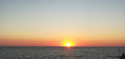 IMG_20200816_214900.webp