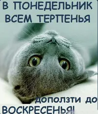 2020-08-17-08-02-47.webp