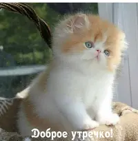 unnamed (1).webp