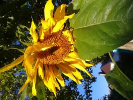 tmp-cam--439995757.webp