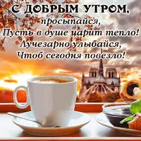 15.webp