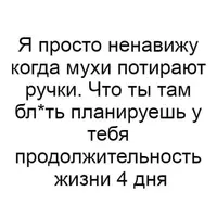 IMG-62ffb04ed57b8f9a05a73636dd875f11-V.webp