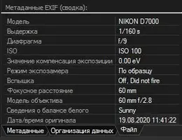 Снимок.webp