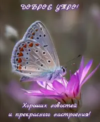 Screenshot_20200821_133915.webp
