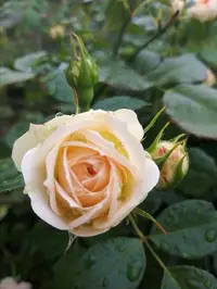 Screenshot_20200823_213146.webp