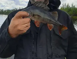 20200824_070423.webp