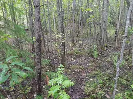 20200824_161148_copy_3000x2250.webp