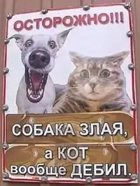 image (2).webp