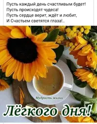 IMG-20200826-WA0002.webp