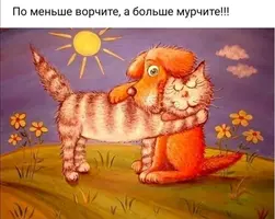 IMG_20200828_100943.webp