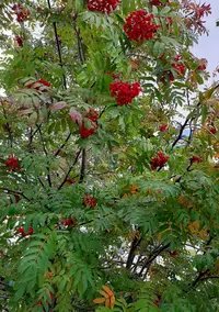 20200828_161402_copy_1390x1973.webp