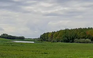 20200829_161047.webp