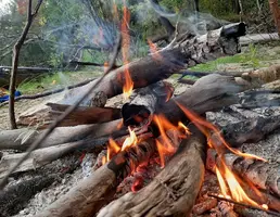 20200829_161424.webp