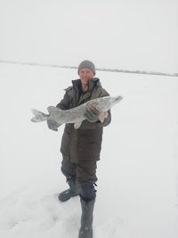 SAVE_20200830_244052_600x800.webp